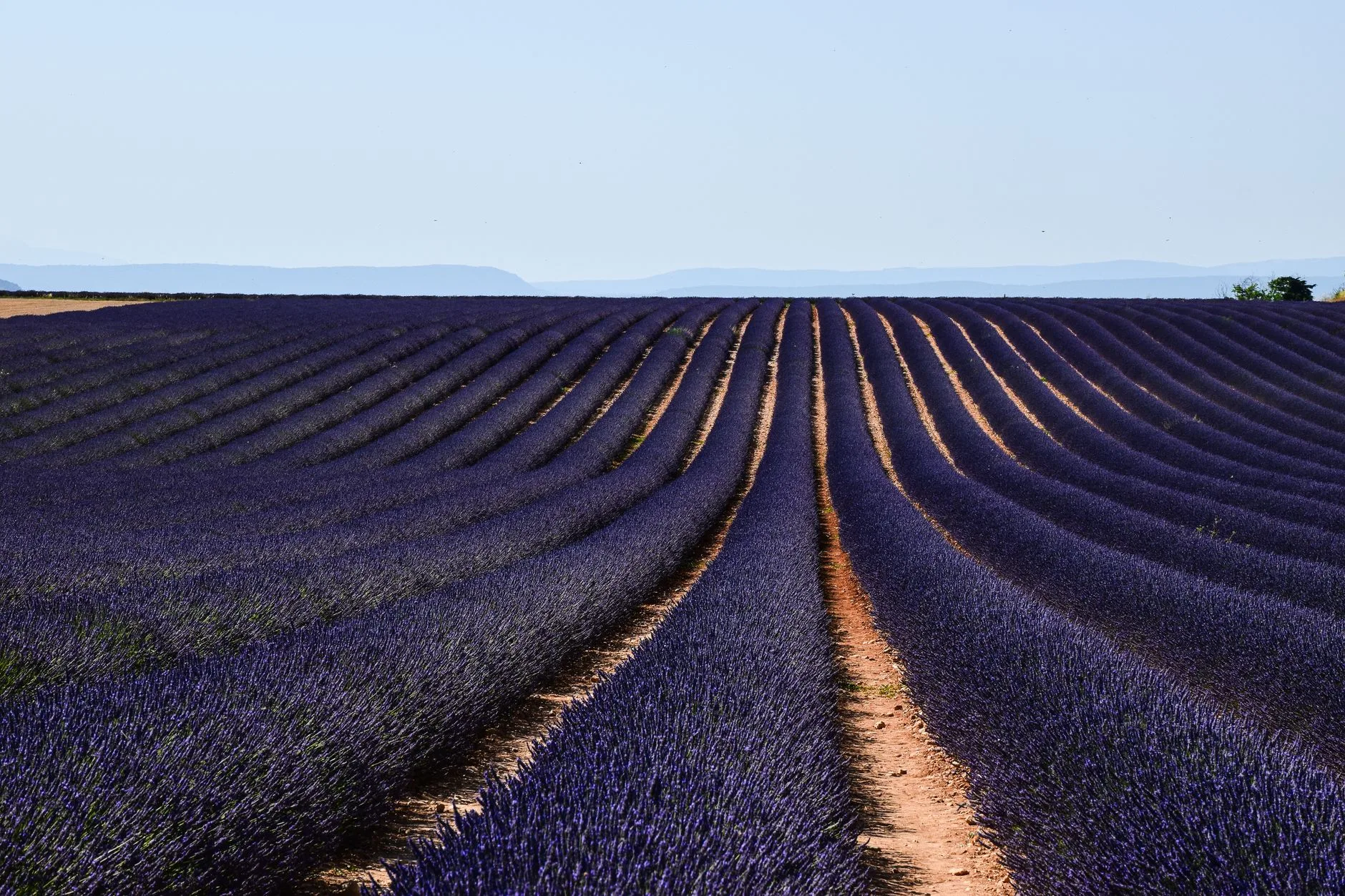 La Provence en un coup d'œil : une région de contrastes